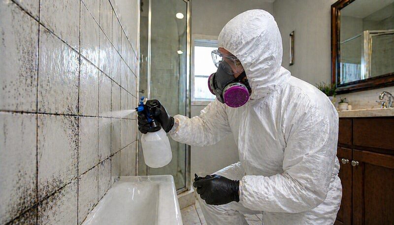 HVAC and bathroom mold treatment Miami